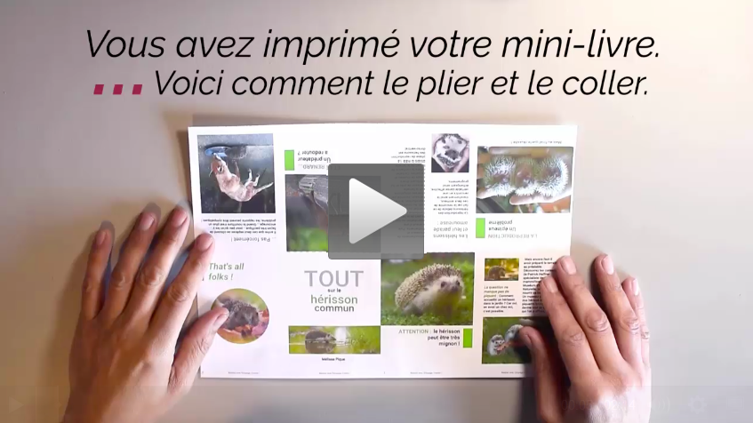 Comment plier un mini-livre
